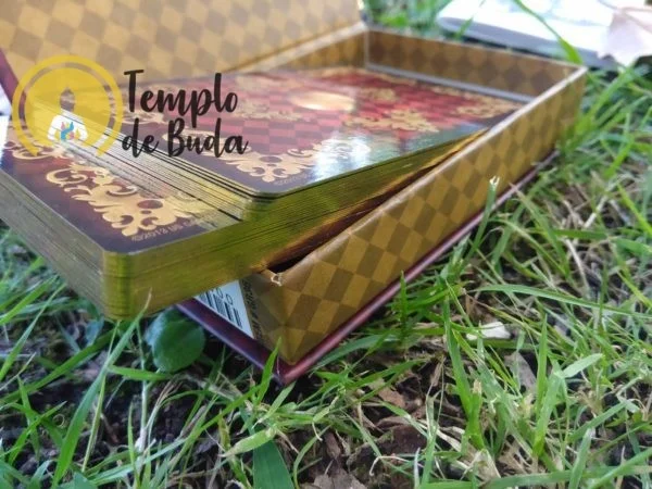 Lenormand Gilded Reverie by Ciro Marchetti
