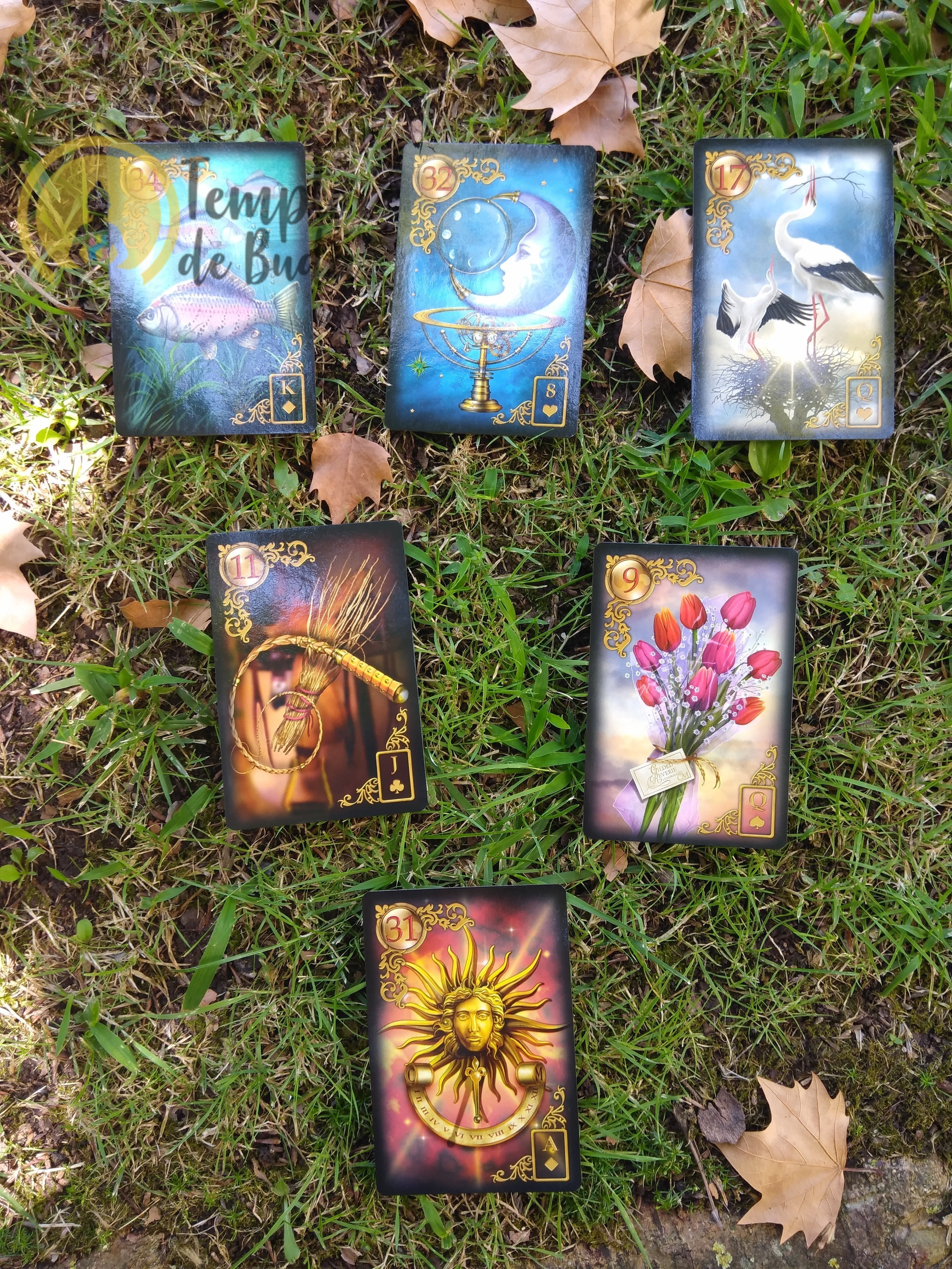Lenormand Gilded Reverie by Ciro Marchetti Templo de Buda -Loja de  produtos esotéricos