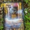 Lenormand Gilded Reverie by Ciro Marchetti