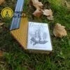 Lenormand Gilded Reverie by Ciro Marchetti