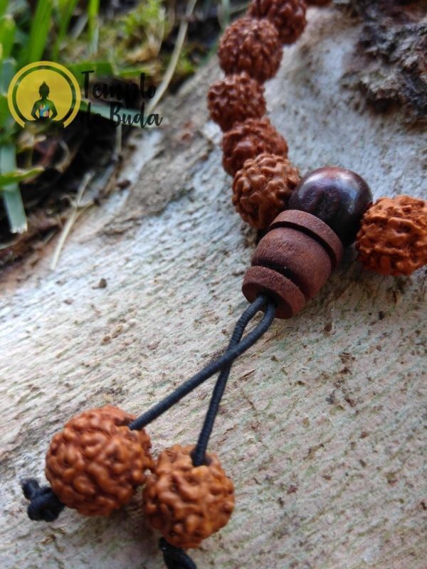 Pulsera Rudraksha