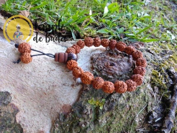 Pulsera Rudraksha