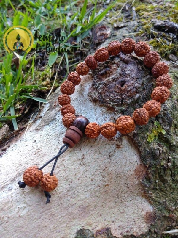 Pulsera Rudraksha