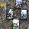 Tarot das Bruxas de Ellen Dugan em Português