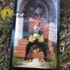 Tarot das Bruxas de Ellen Dugan em Português