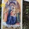 Tarot dos Anjos de Monica Buonfiglio em Português (1)