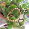 Pulseira Jaspe Madeira 8mm