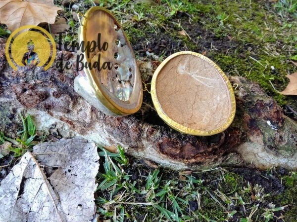 Abalone Safe Box - immagine 2