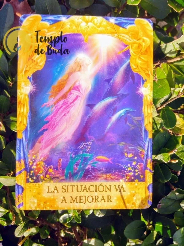Doreen Virtue's Oraculo Answers of the Angels in Spanish - Image 5