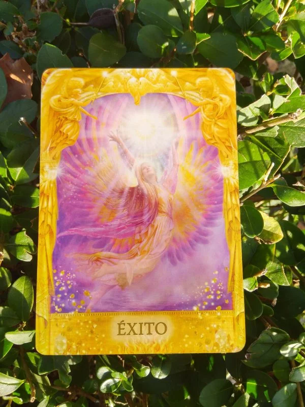 Doreen Virtue's Oraculo Answers of the Angels in Spanish - Image 6