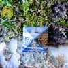 Pirâmide Chakra Simbolos Reiki Lapis Lazuli - Image 3