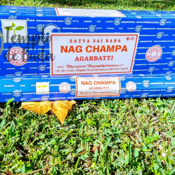 Incenso Indiano Nag Champa Sai Baba Grande Caixa