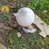 Selenita Esfera - Image 7