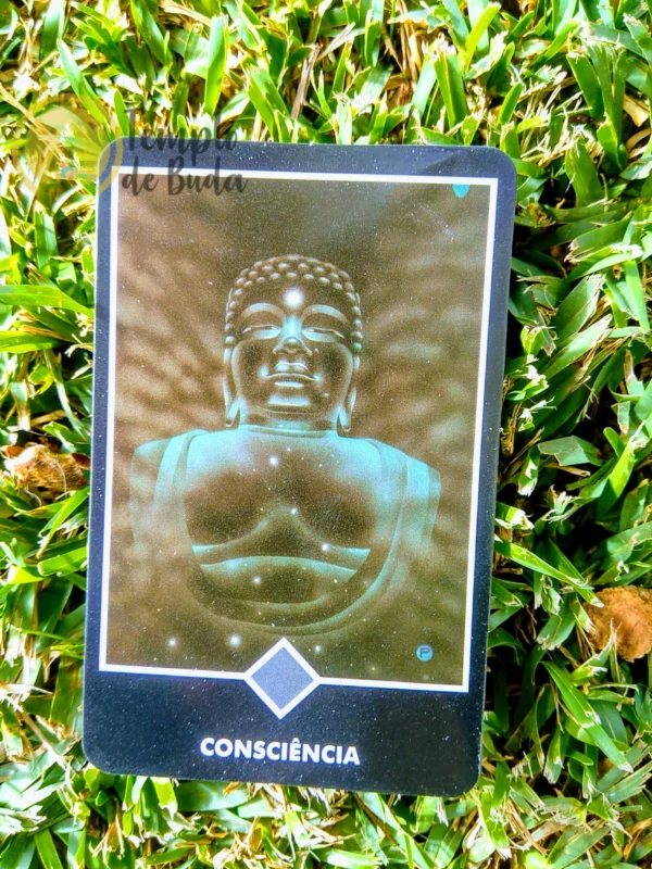 Tarot Osho Zen de Ma Deva Padma em Portugues - Image 11