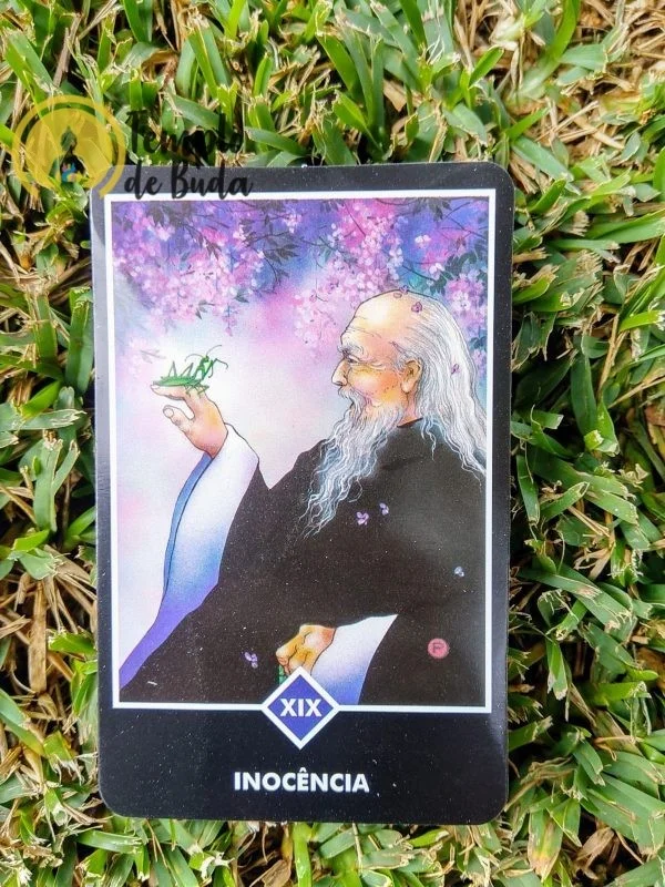 Tarot Osho Zen de Ma Deva Padma em Portugues - Image 6