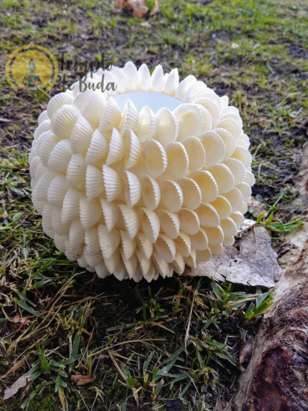 Porta Velas com Conchas - Image 4
