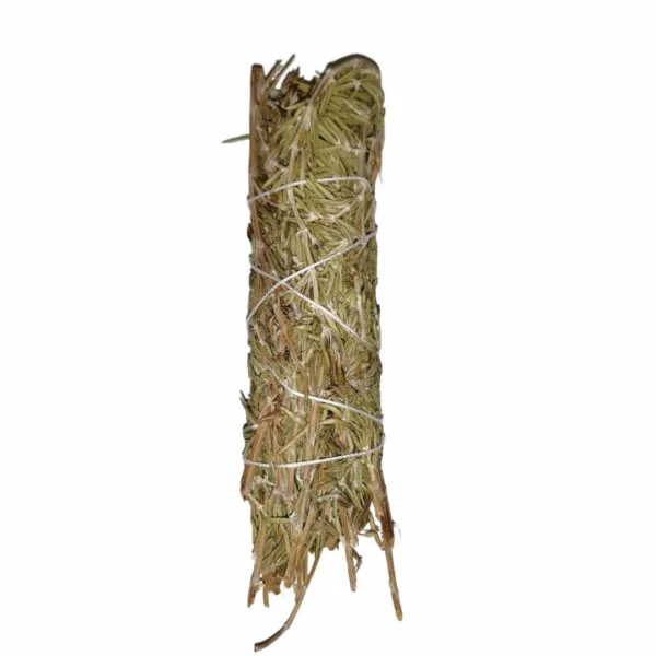 Rosemary Torch 10 cm