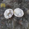 Geodo de Cristal Quartzo Branco