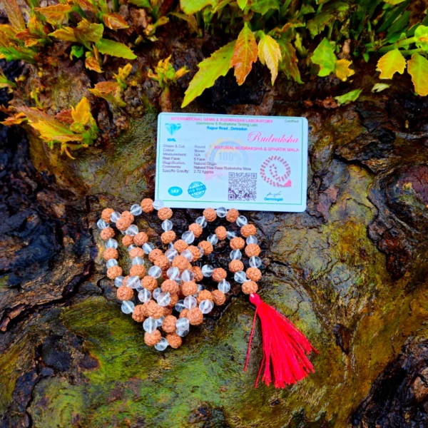 JapaMala Rudraksha e Quartzo Branco