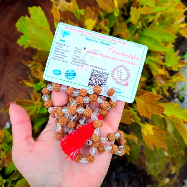 JapaMala Rudraksha e Quartzo Branco