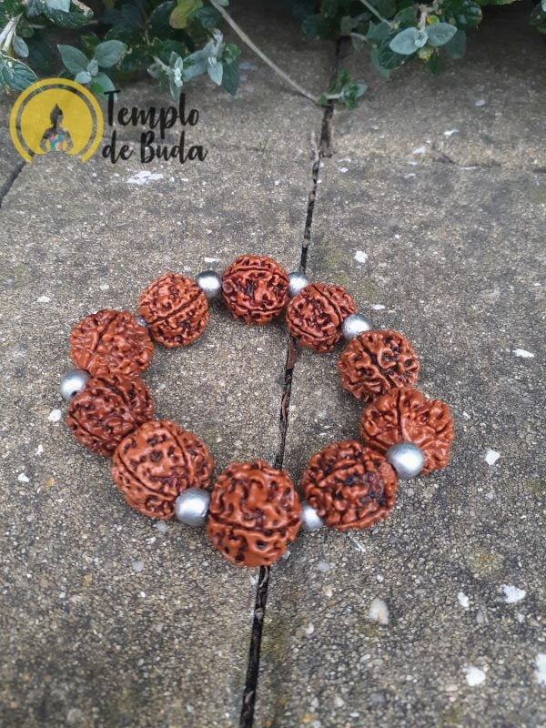 Pulsera de plata Rudraksha 5 Muhkhis