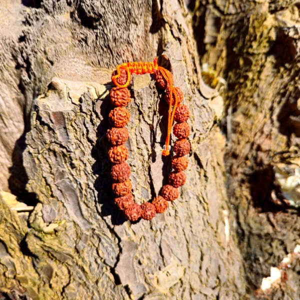 Pulseira Rudraksha Regulavel