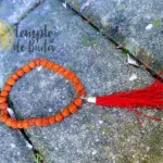 Pulsera Rudraksha Roja