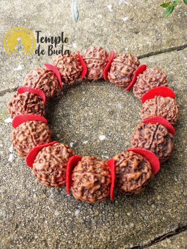 Rudraksha Bracelet Red