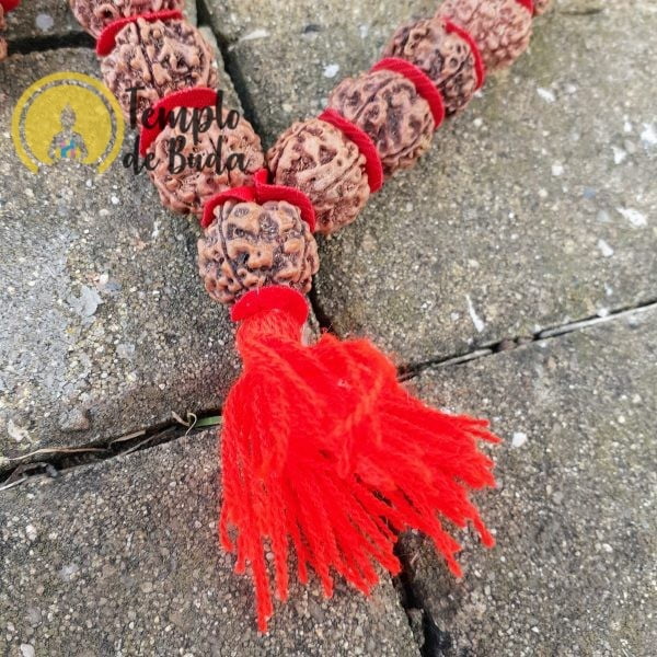 Japa Rudraksha 5 Muhkhis Bag Red - Image 4