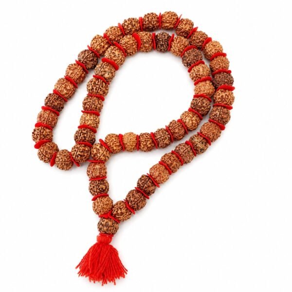 JapaMala Rudraksha 5 Mukhis Vermelho