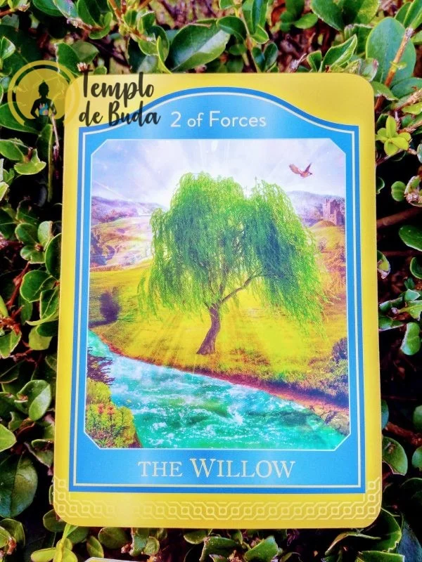 Tarot Akashic de Sharon Anne Klingler&Sandra Anne Taylor em Inglês - Image 5