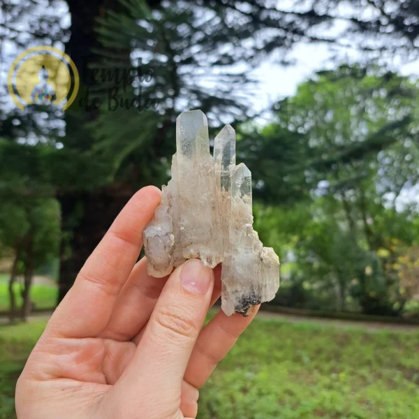 Trio of Lemurian Crystal Tips - Image 2