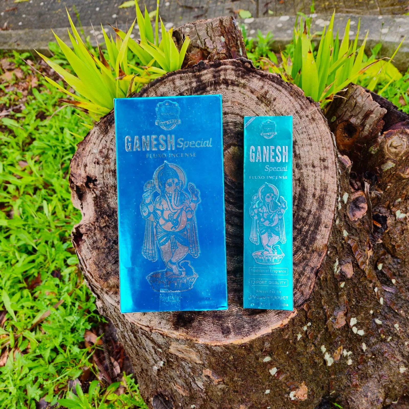 Incenso Anand Special Ganesh Caixa