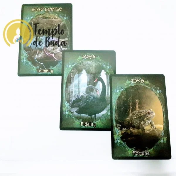 Oráculo Witches Familiars de Barbara Meiklejohn&Flavia Peters en Inglés - Imagen 2
