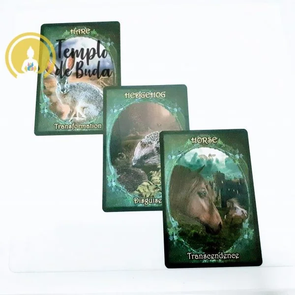 Oráculo Witches Familiars de Barbara Meiklejohn&Flavia Peters en Inglés - Imagen 3