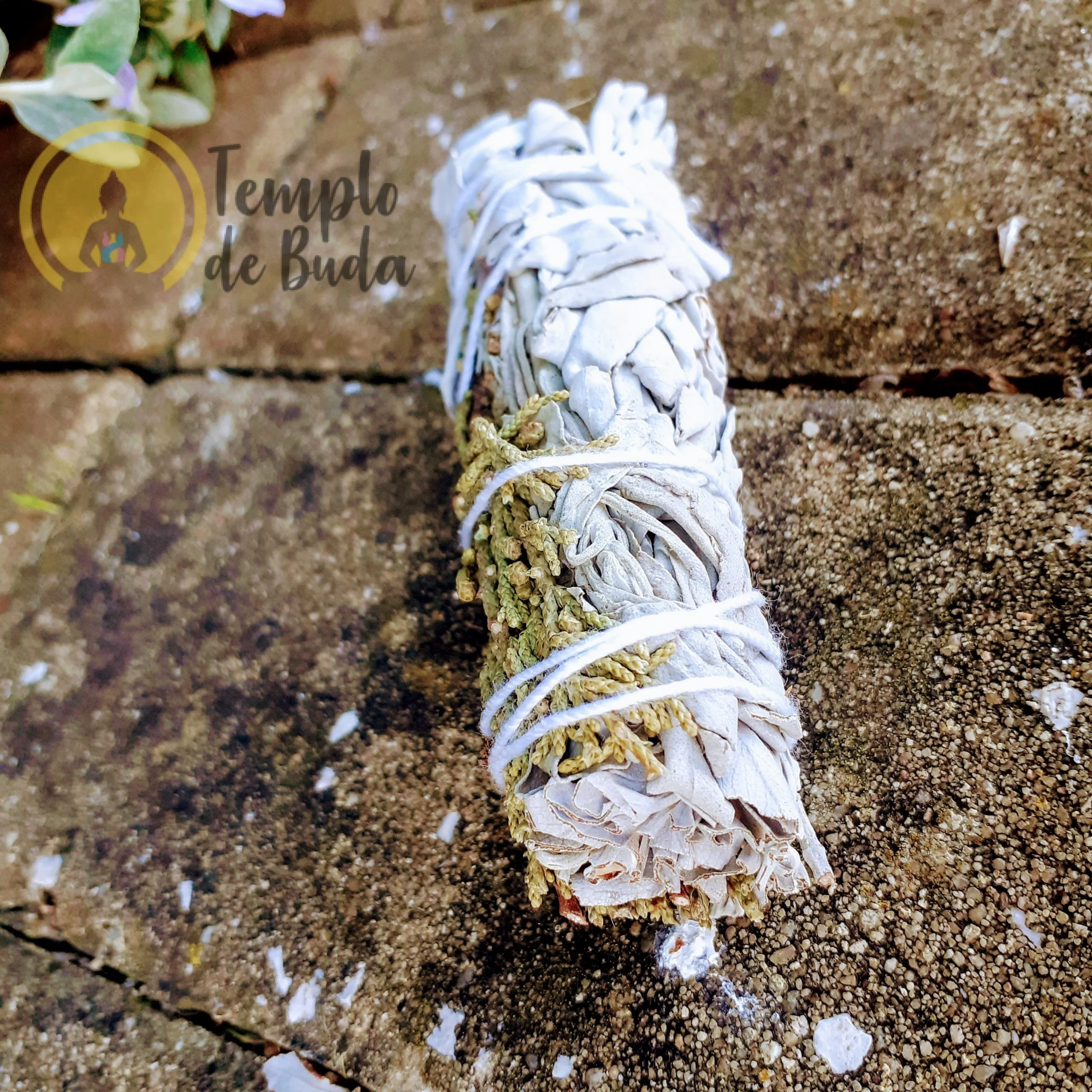 White Sage and Cedar Torch 10cm - Image 3