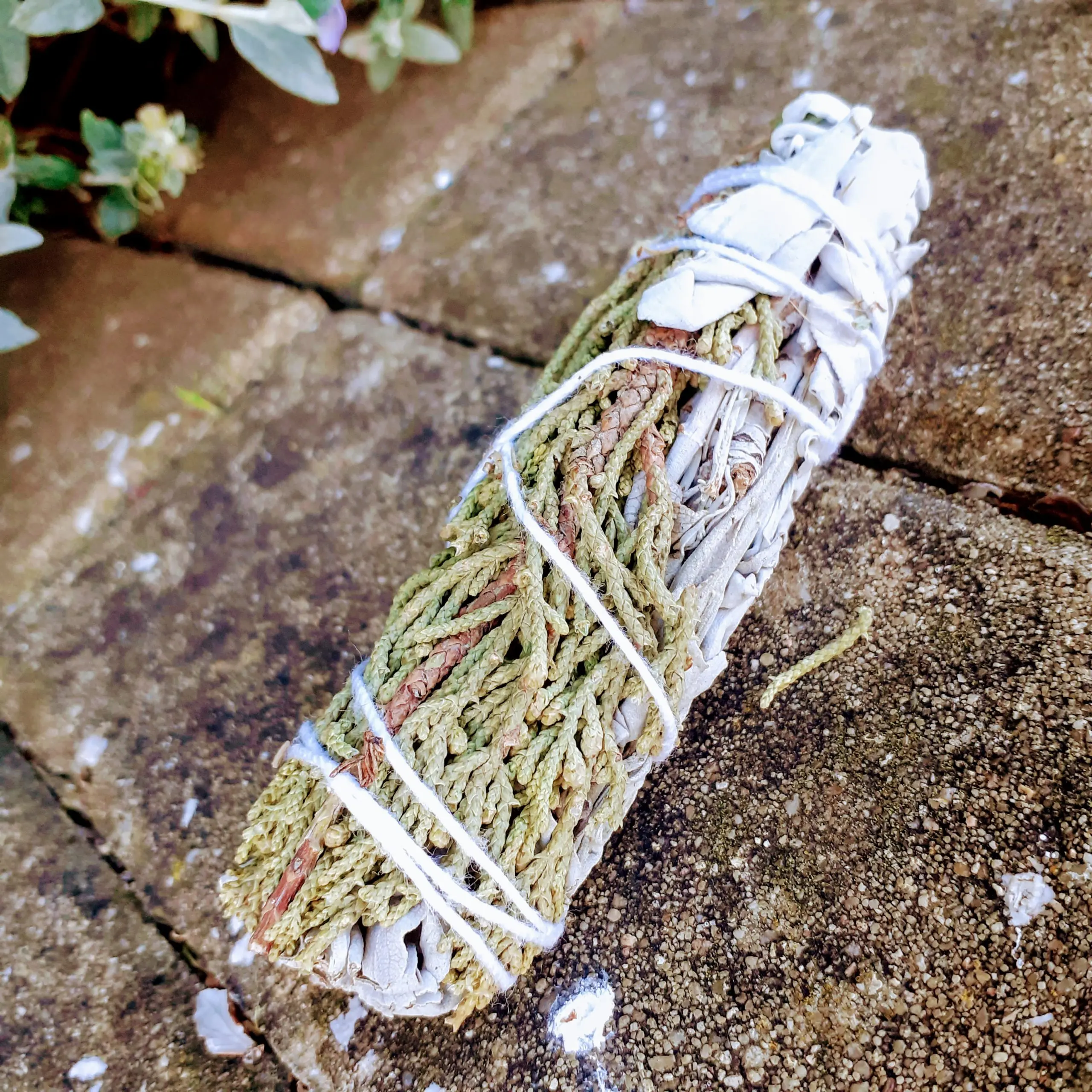 White Sage and Cedar Torch 10cm - Image 2