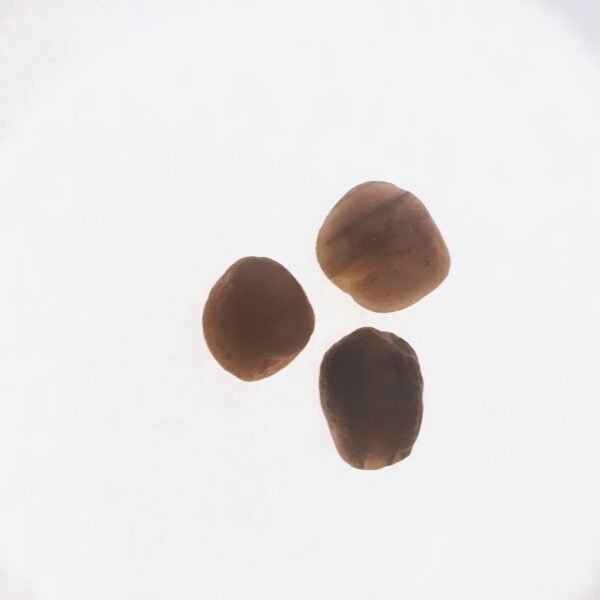 Cintamani (Saffordite) 3.4gr