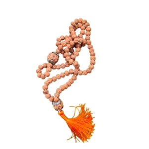 Japa Mala Rudraksha