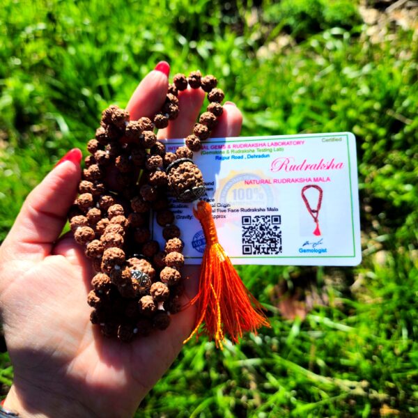 Japa Mala Rudraksha