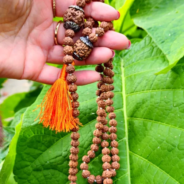 Japa Mala Rudraksha