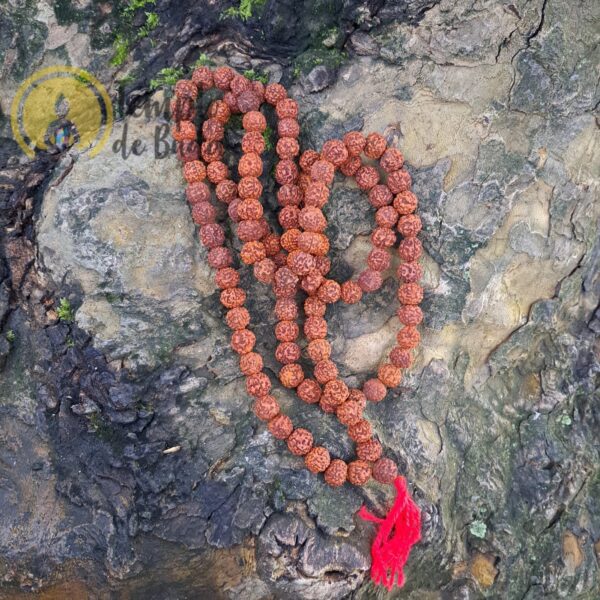 Japa Mala Rudraksha 10mm