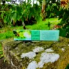 Incenso Goloka Aromatherapy Pepino