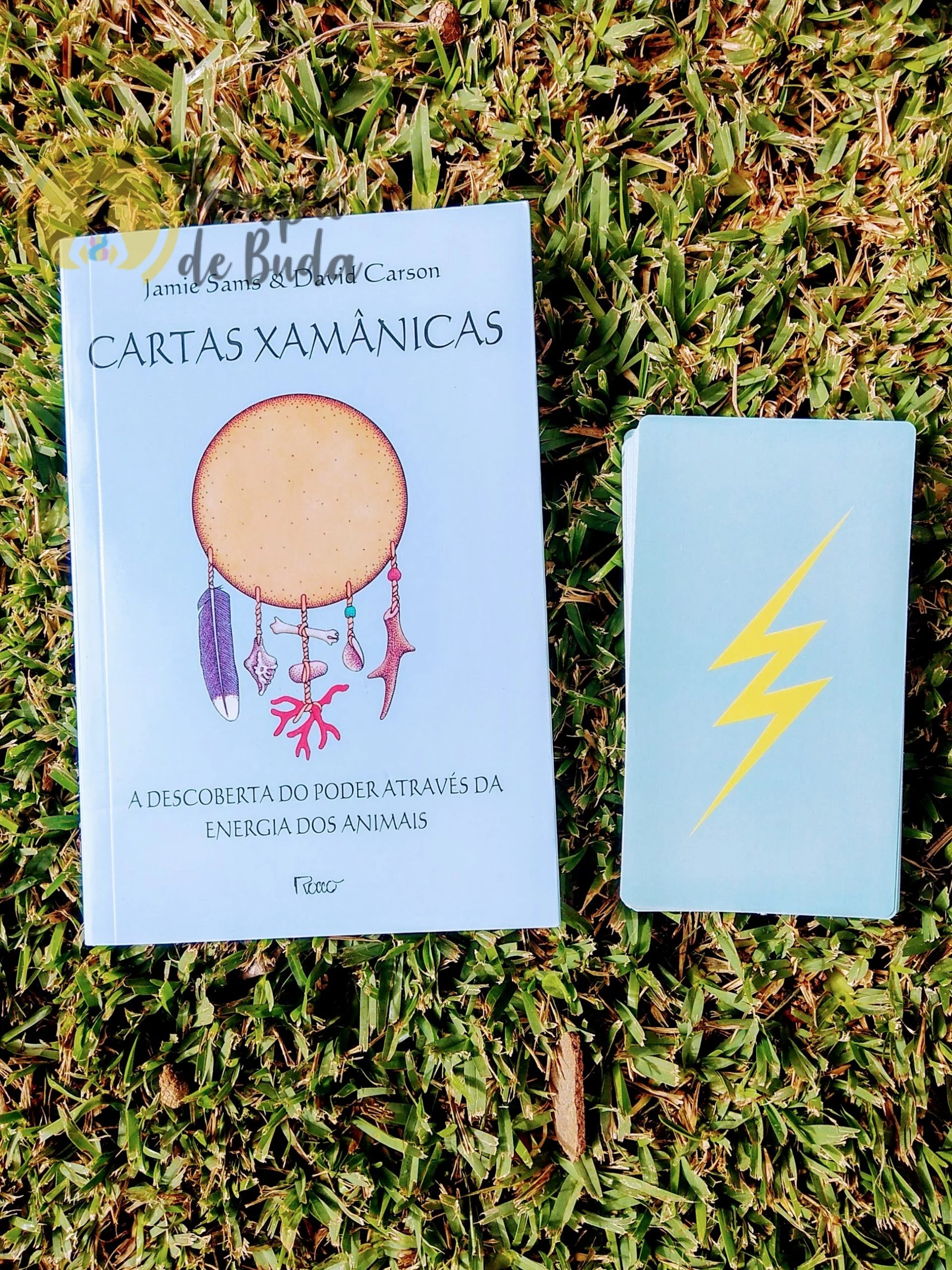 Óraculo Cartas Xamânicas de Jamie Sams&David Carson em Português - Image 8