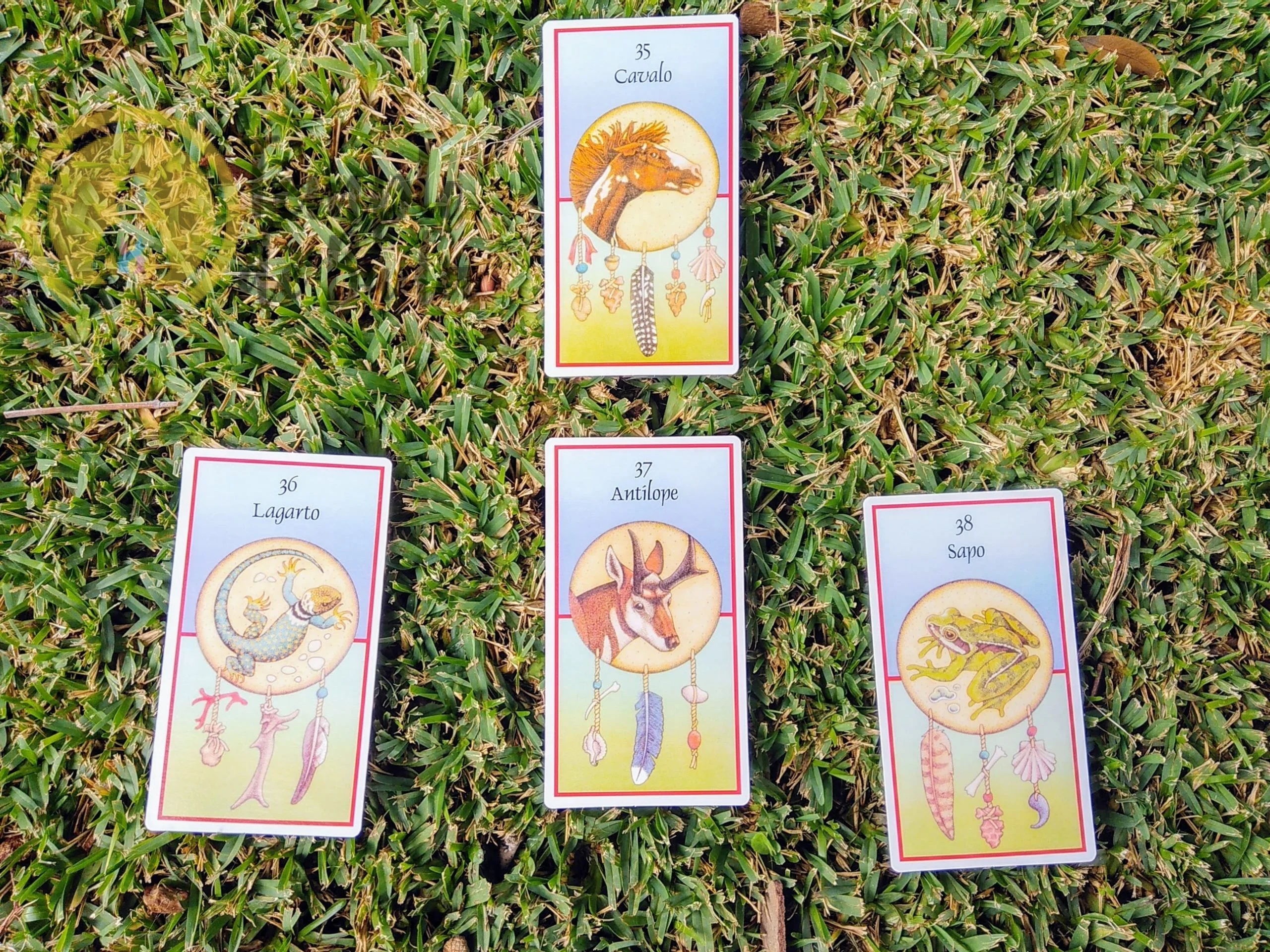 Óraculo Cartas Xamânicas de Jamie Sams&David Carson em Português - Image 5