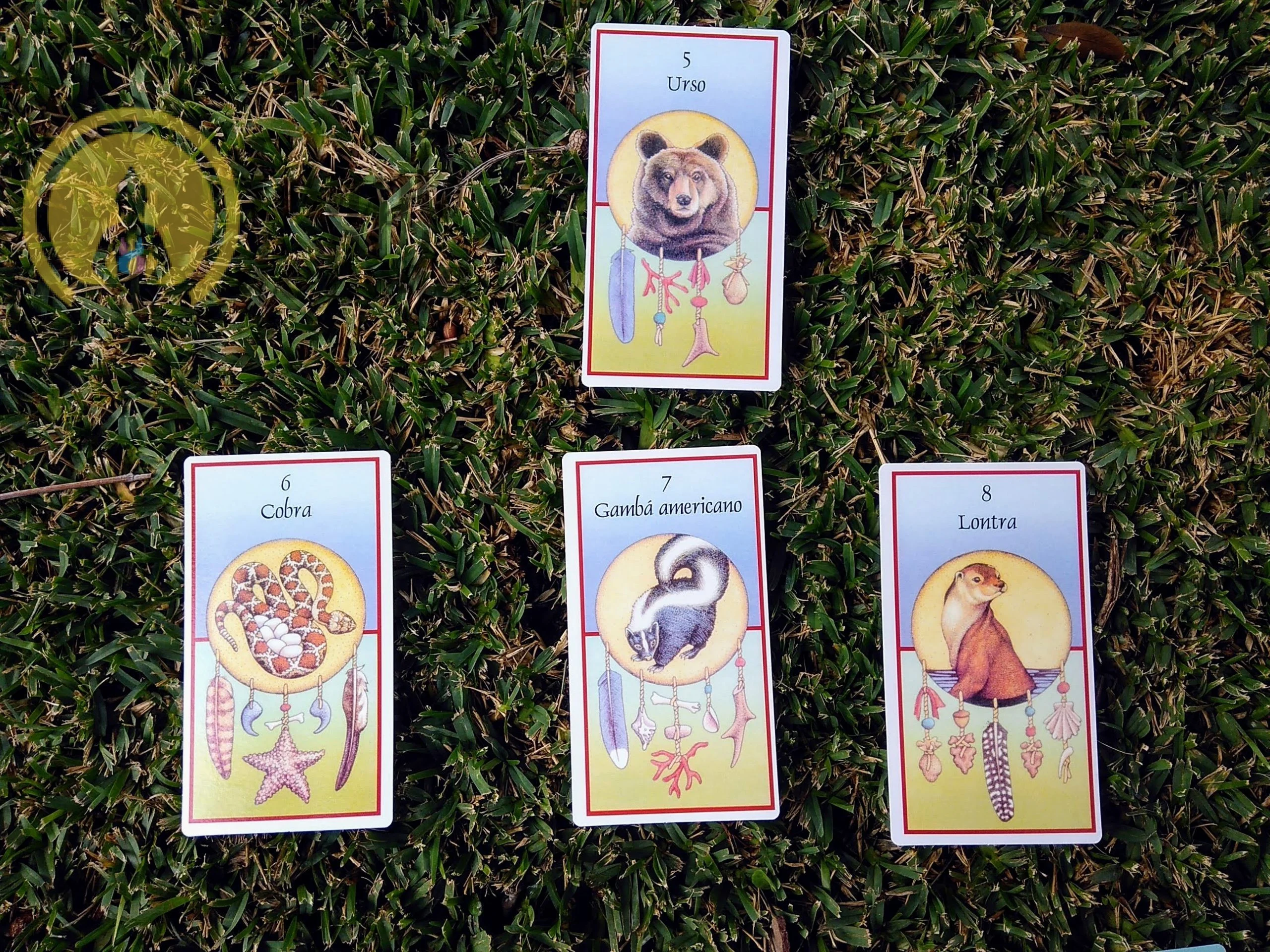 Óraculo Cartas Xamânicas de Jamie Sams&David Carson em Português - Image 4