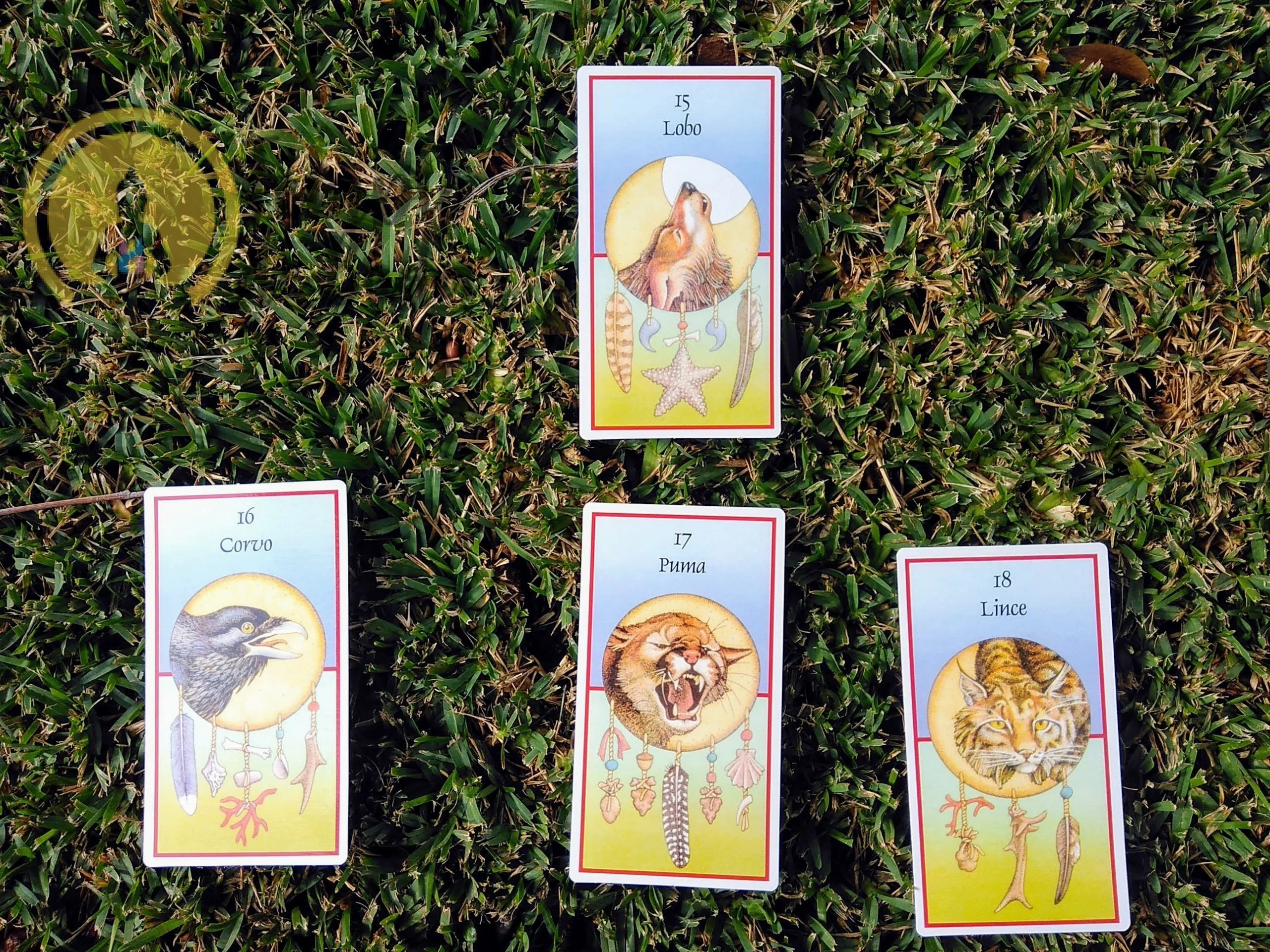 Óraculo Cartas Xamânicas de Jamie Sams&David Carson em Português - Image 3