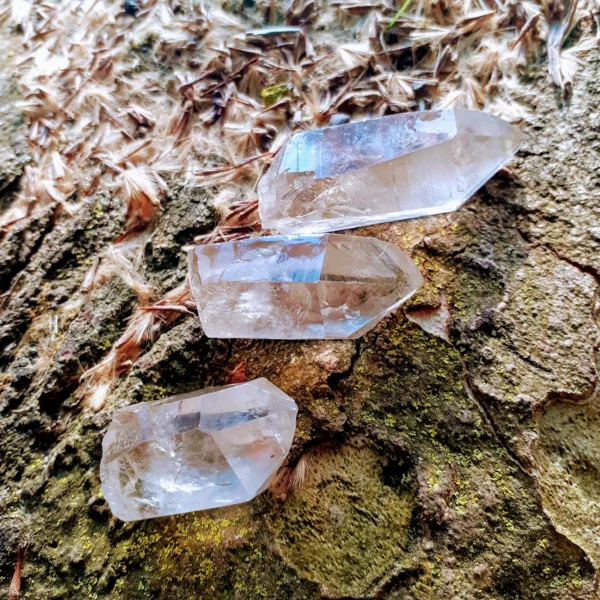 Ponta de Quartzo Cristal Fumado Natural - immagine 2