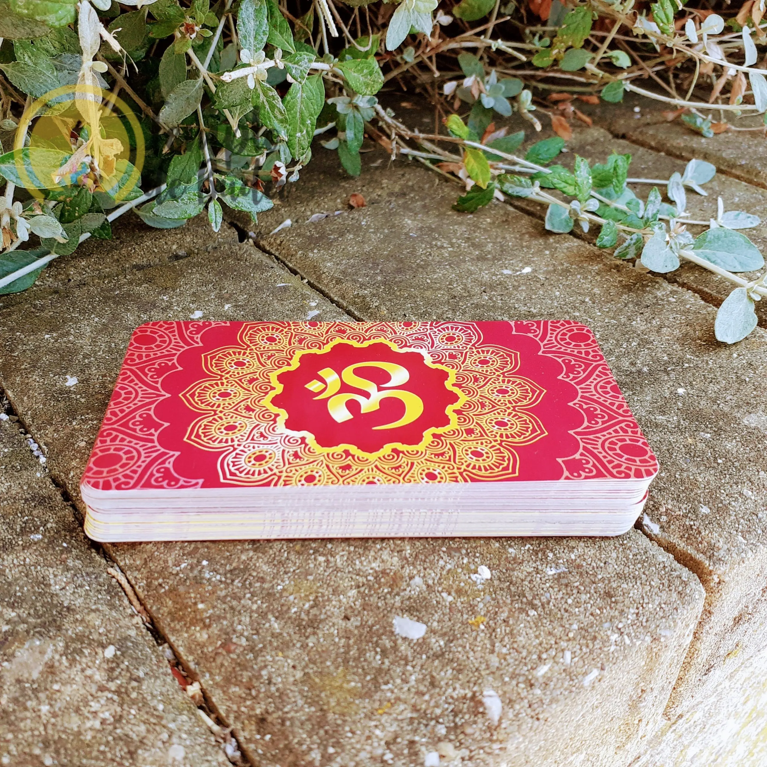 Tarot dos Deuses Hindus de Tina Simões em Português - Image 3