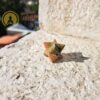 Merkaba Unakita 2cm - immagine 2
